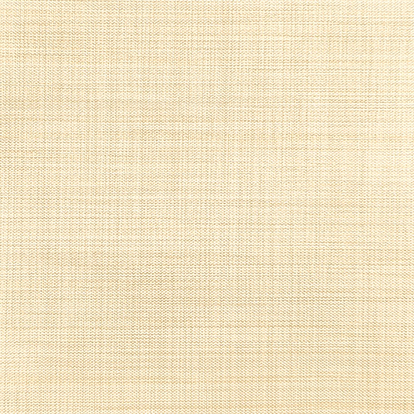 Ткань для рулонных штор на проем Benone 7858 - изображение 1 - заказать онлайн в салоне штор Benone в Лосино-Петровском